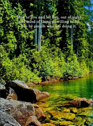 VonuLife, March 1973 (SPECIAL ISSUE)