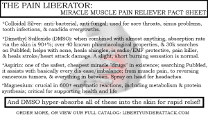 The Pain Liberator (Miracle Muscle Pain Reliever)