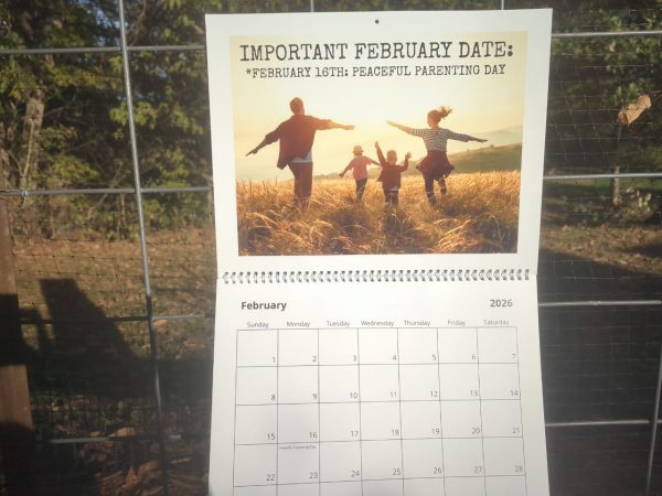 2026/Year 6 P.A.Z.NIA Calendar - Image 2