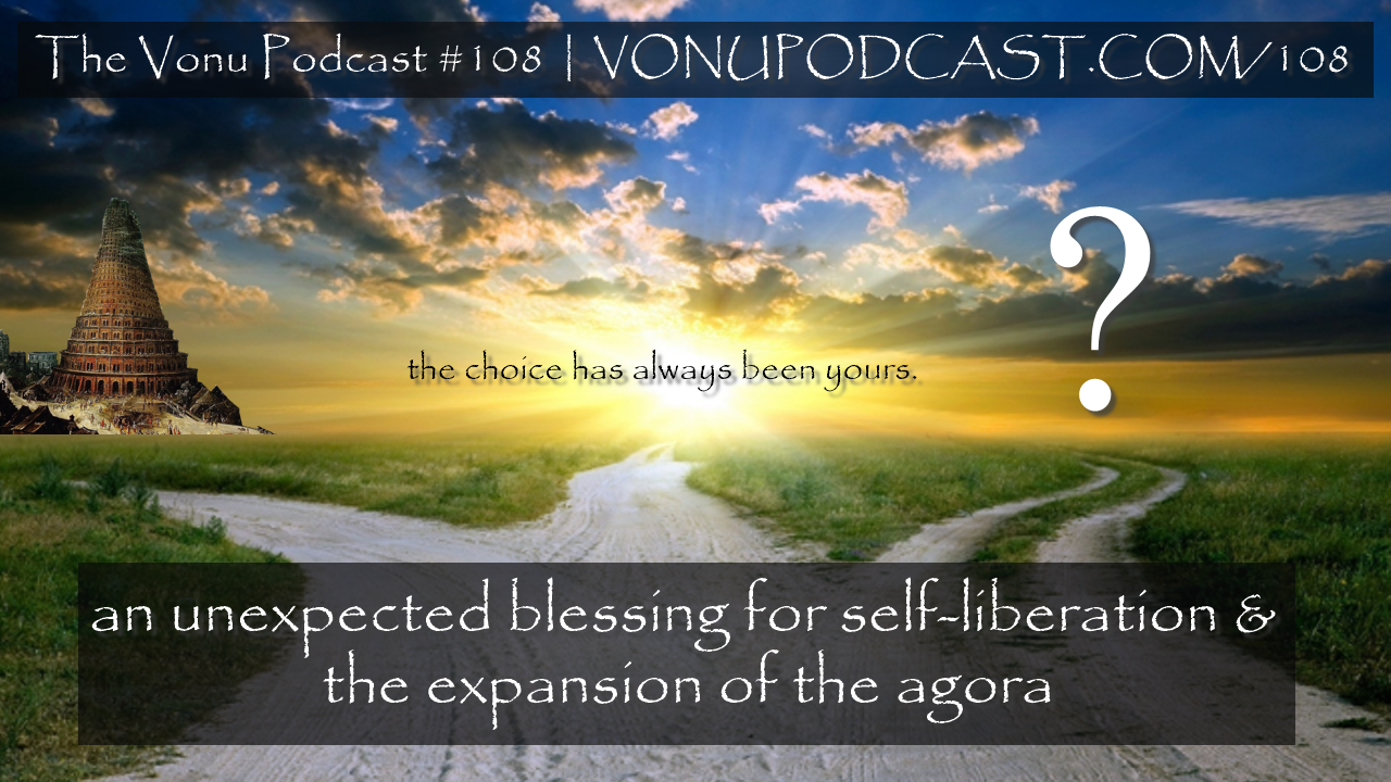 TVP #108: [2020] An Unexpected Blessing For Self-Liberation & The Expansion of The Agora