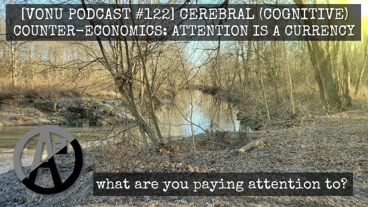 TVP #122 – Cerebral (Cognitive) Counter-Economics: Attention is a Currency
