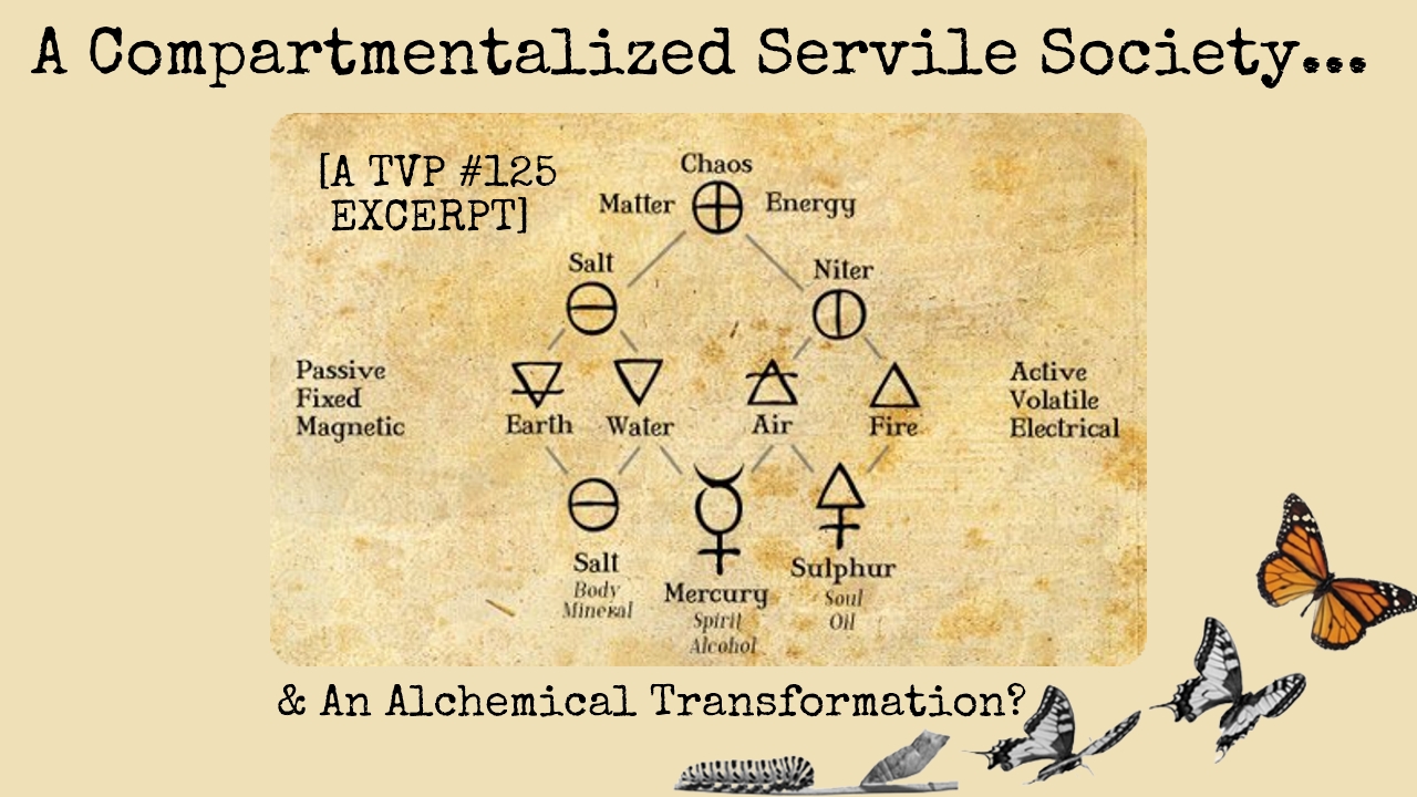 A Compartmentalized Servile Society…& An Alchemical Transformation Underway? (TVP #125 Excerpt ft. Regan Keely)
