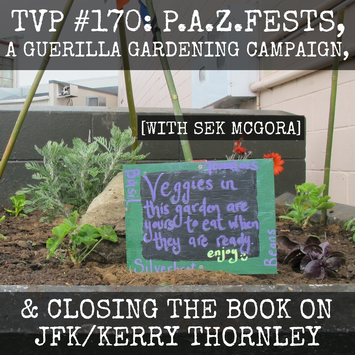 TVP #170: P.A.Z.Fests, A Guerrilla Gardening Campaign, & Closing The Book on JFK/Kerry Thornley with Sek McGora