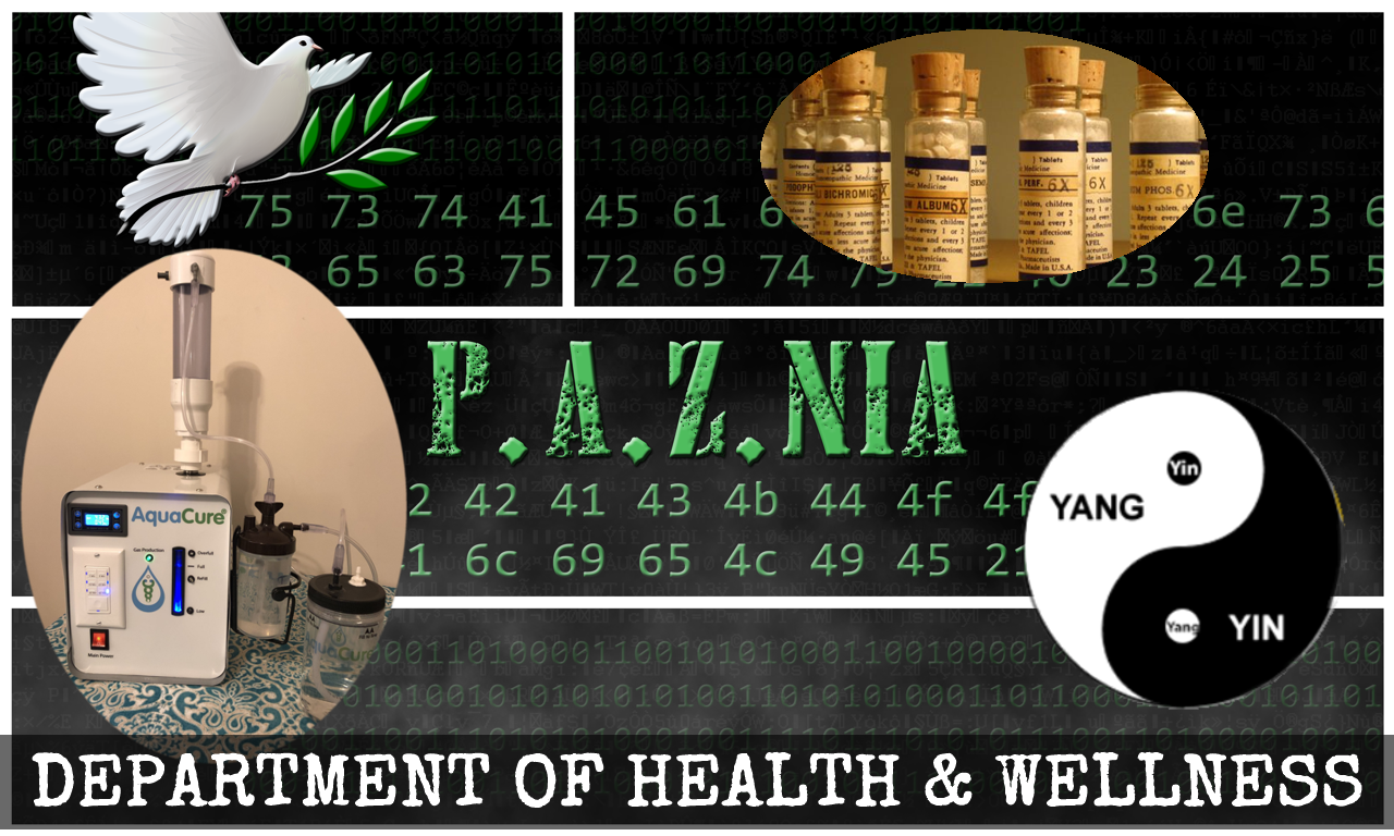 P.A.Z.NIA Health & Wellness Promo: Hair Mineral Analysis (New Year, New You!)