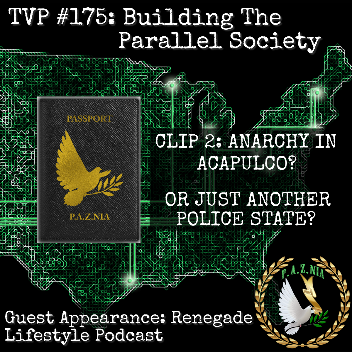 Anarchy in Anarchapulco? Or Just Another Police State? (TVP #175 Excerpt)