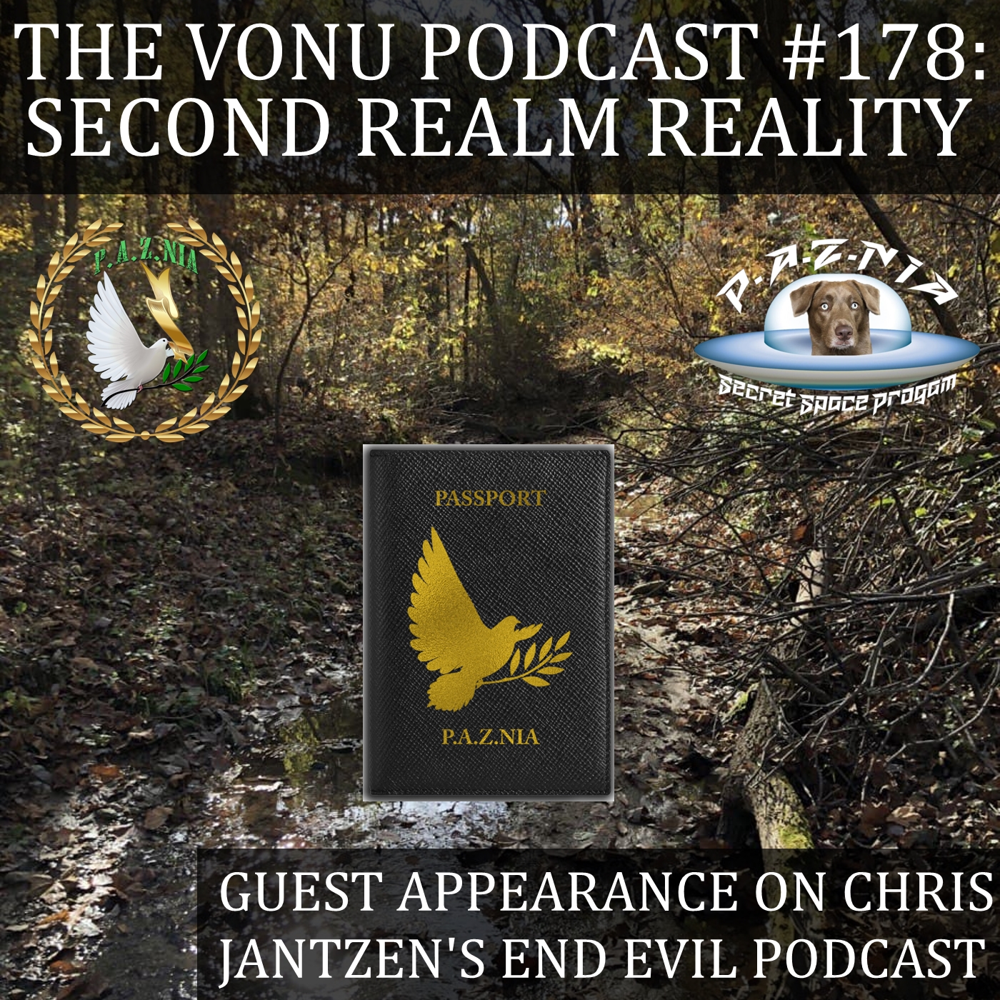 TVP #178: Second Realm Reality (Guest Appearance on Chris Jantzen’s End Evil Podcast)