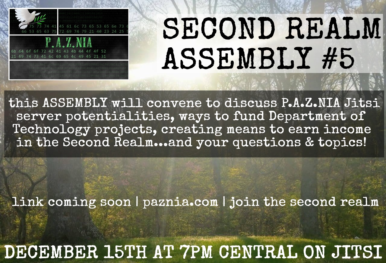 P.A.Z.NIA Second Realm Assembly #5: Self-Hosted Jitsi Potentialities, Funding Dept. of Technology Projects, & More! [PROMO VIDEO]