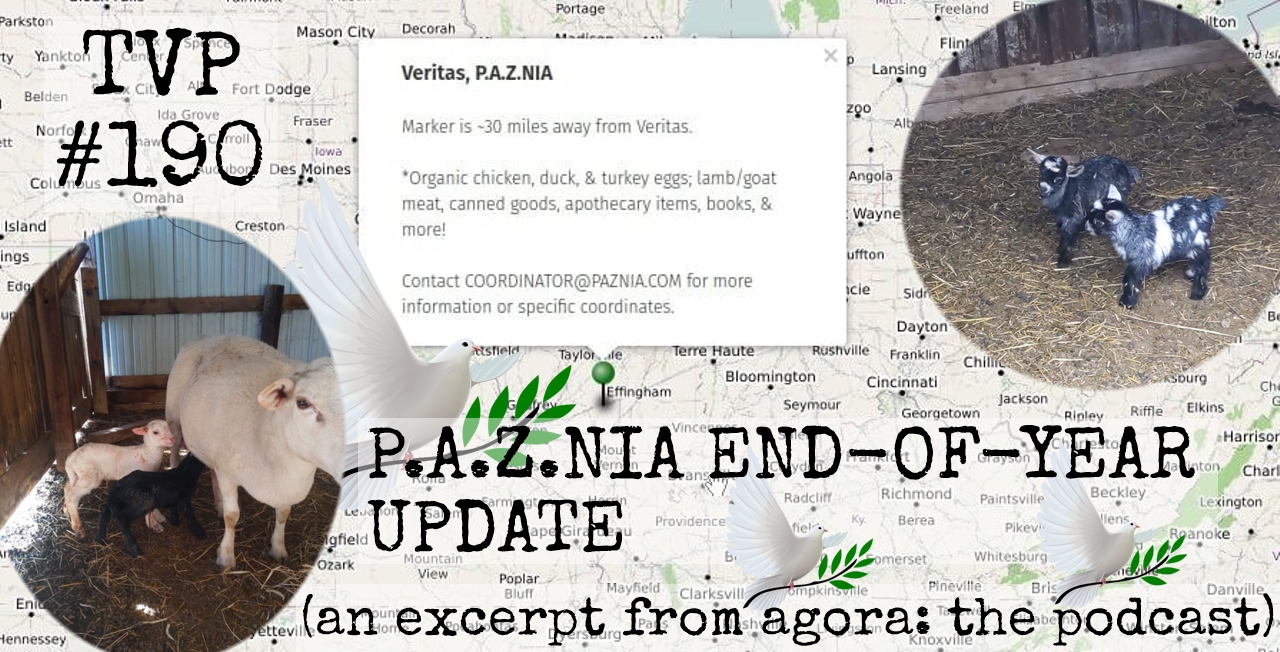 TVP #190: P.A.Z.NIA End-of-Year Report [An Excerpt from Agora: The Podcast ft. Sek McGora]