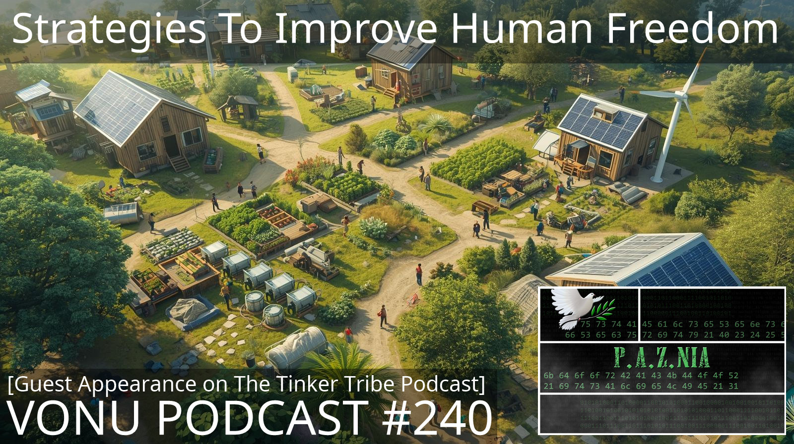 TVP #240: Strategies To Improve Human Freedom [Guest Appearance on The Tinker Tribe Podcast]