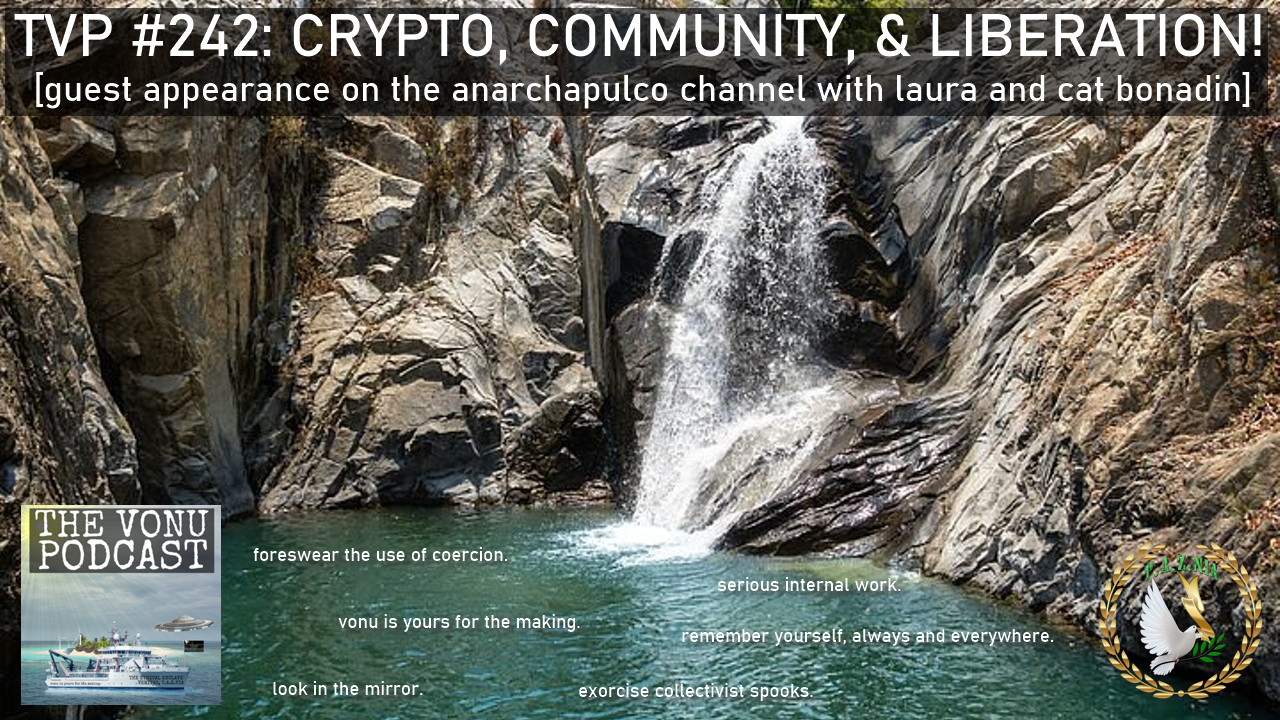 TVP #242: Crypto, Community, & Liberation! Guest Appearance on Anarchapulco Channel
